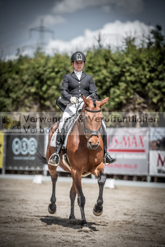 DSC_2359 | equestrian-live-com