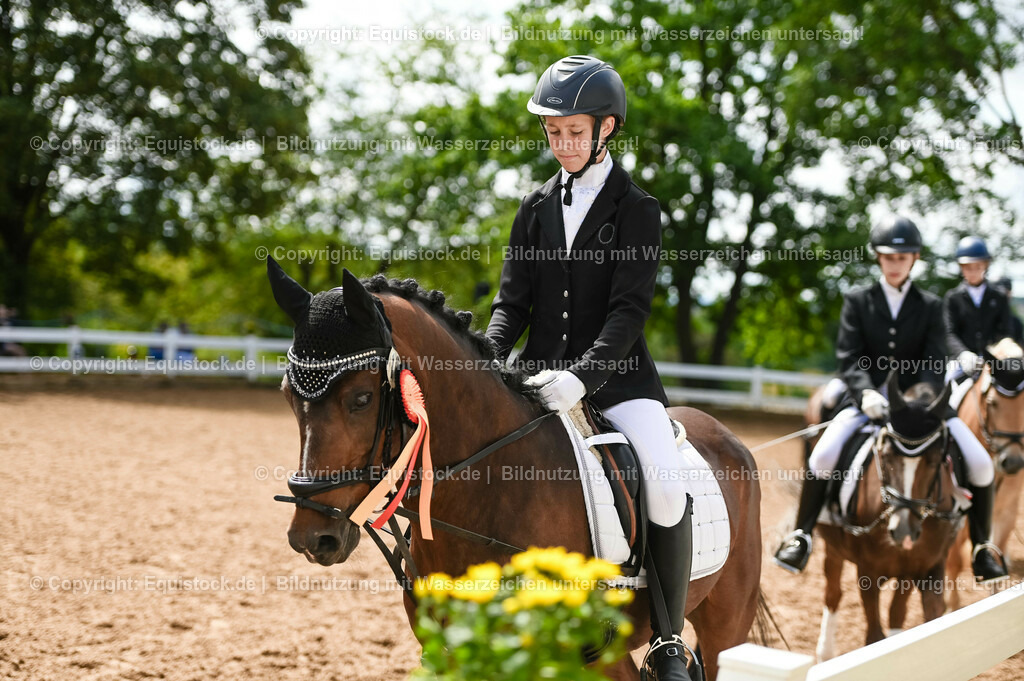 20230716_10-2_Reiter-WB Schritt - Trab - Galopp_0214 | equistock