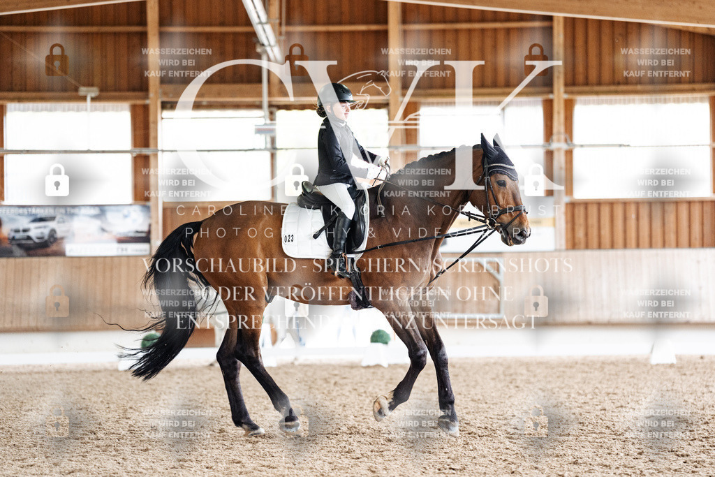 CK900825 | Turnierfotografie Pferdefotografie Trier Rheinland-Pfalz Pferdesport Reitsport Tierfotografie Sportfotografie Pferdevideo Pferdevideografie Equestrianvideography equestrianphotography  - Realisiert mit Pictrs.com