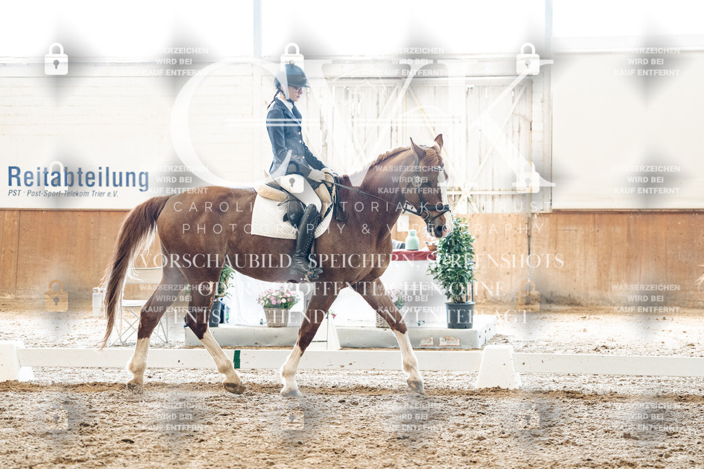 CK900012 | Turnierfotografie Pferdefotografie Trier Rheinland-Pfalz Pferdesport Reitsport Tierfotografie Sportfotografie Pferdevideo Pferdevideografie Equestrianvideography equestrianphotography  - Realized with Pictrs.com