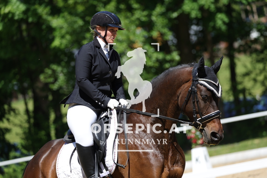 0P6A0676 | Willkommen bei Brunnmayr - Design & Fotografie – Ihrem Spezialisten für Reitturniere und Pferdeveranstaltungen in Oberösterreich, Salzburg und Bayern! Seit über 17 Jahren sind wir leidenschaftlich dabei.