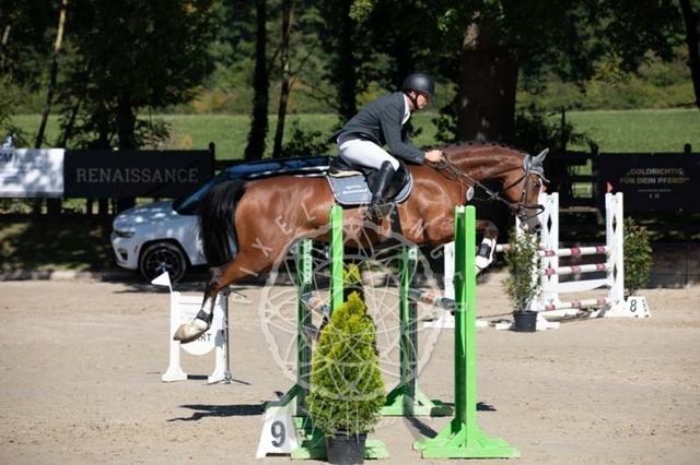 2B4A0489 | pixelfaenger - Realisiert mit Pictrs.com