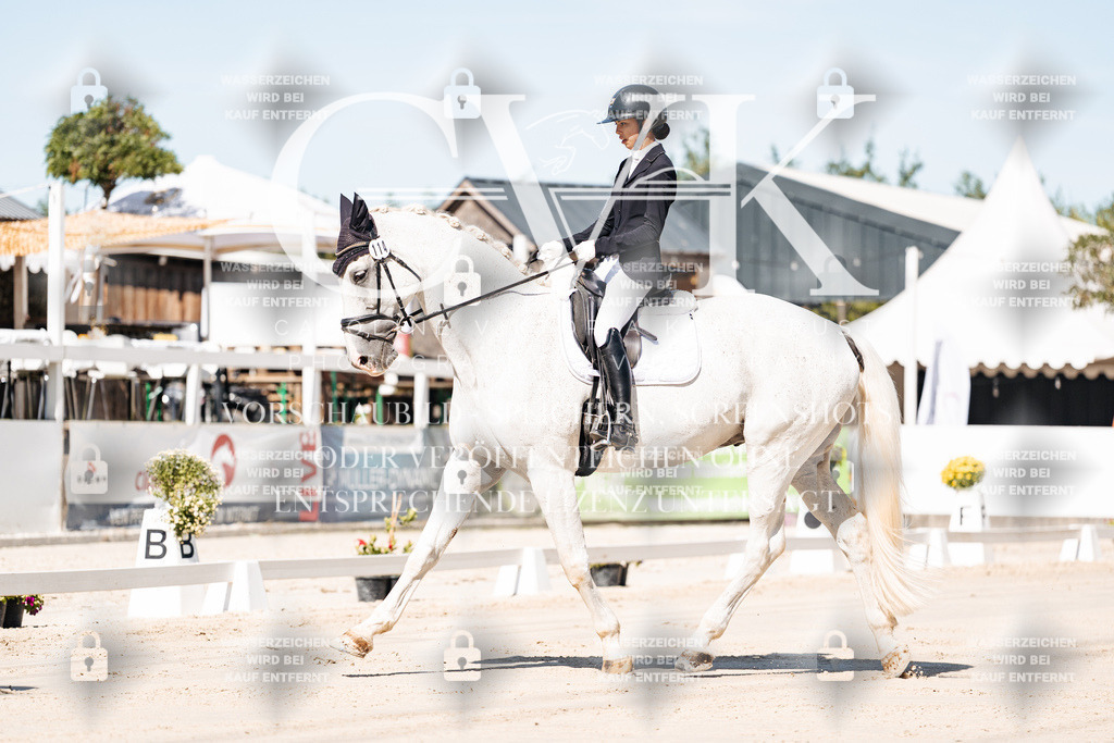 CK908891 | Turnierfotografie Pferdefotografie Trier Rheinland-Pfalz Pferdesport Reitsport Tierfotografie Sportfotografie Pferdevideo Pferdevideografie Equestrianvideography equestrianphotography  - Realisiert mit Pictrs.com