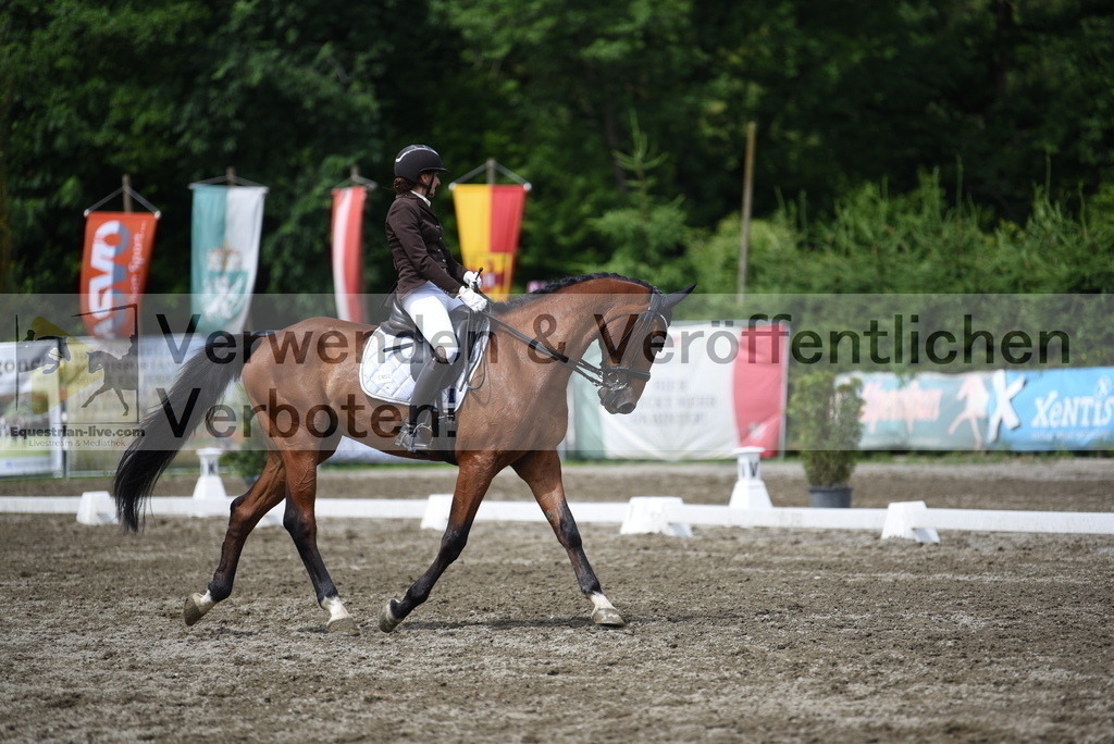 DSC_0880 | equestrian-live-com