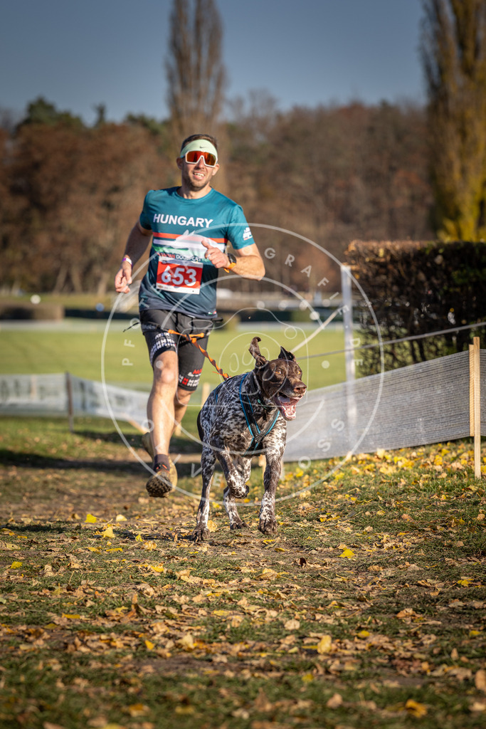 CaniXpix_DV3A0540 | Hundefotografie, Tierfotograf, Pfotenfotografie, Fotoshooting Hund, Hunde Portrait, Hundesport, Hundeportraits, Heideshooting, Hunde, Sportfotograf, Hundefotograf, Turnierhundsport, THS,  - Realisiert mit Pictrs.com