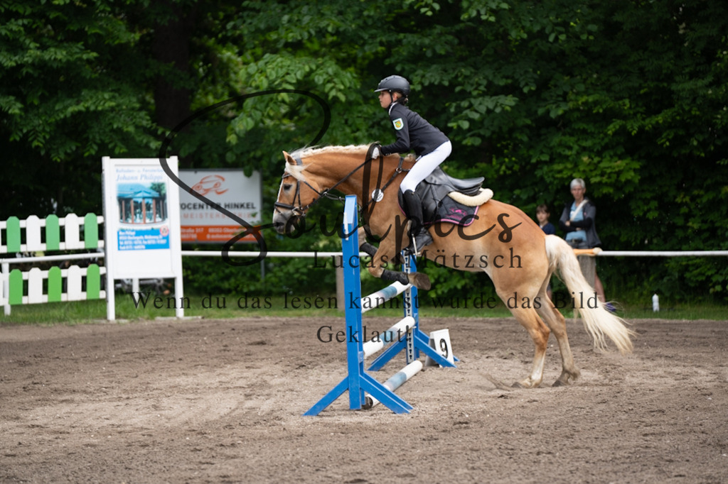 A7V03955 | Pferdefotograf