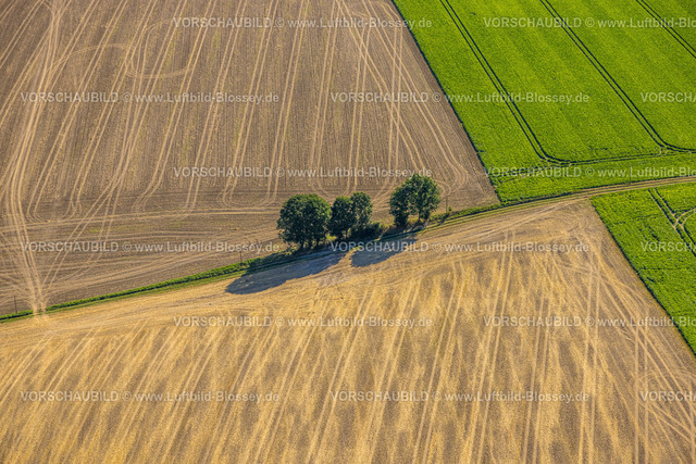 Heiligenhaus240812917 | Luftbild, kleine Baumreihe auf landwirtschaftlicher Fläche an der Heidestraße, Wiesen und Felder, Formen und Farben, Leubeck, Heiligenhaus, Ruhrgebiet, Nordrhein-Westfalen, Deutschland