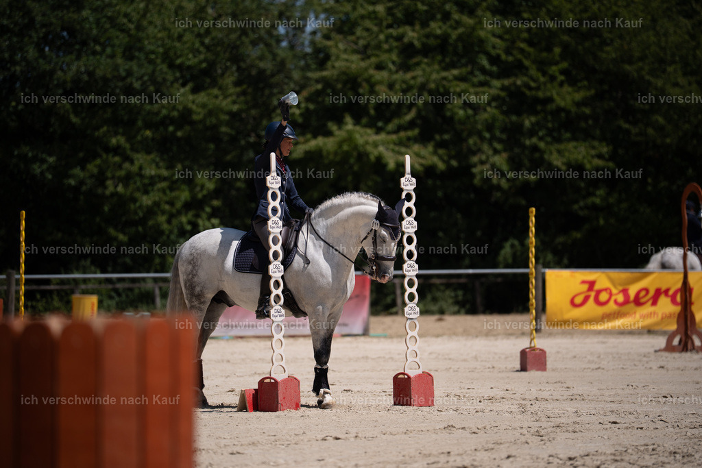 WS_ST_11_stoibphotography_SO11119 | working equitationturnier fotograf videograf stoibphotography marixx film working equitation deutschland reitsport turnierfotografie eventfotografie equestrian events