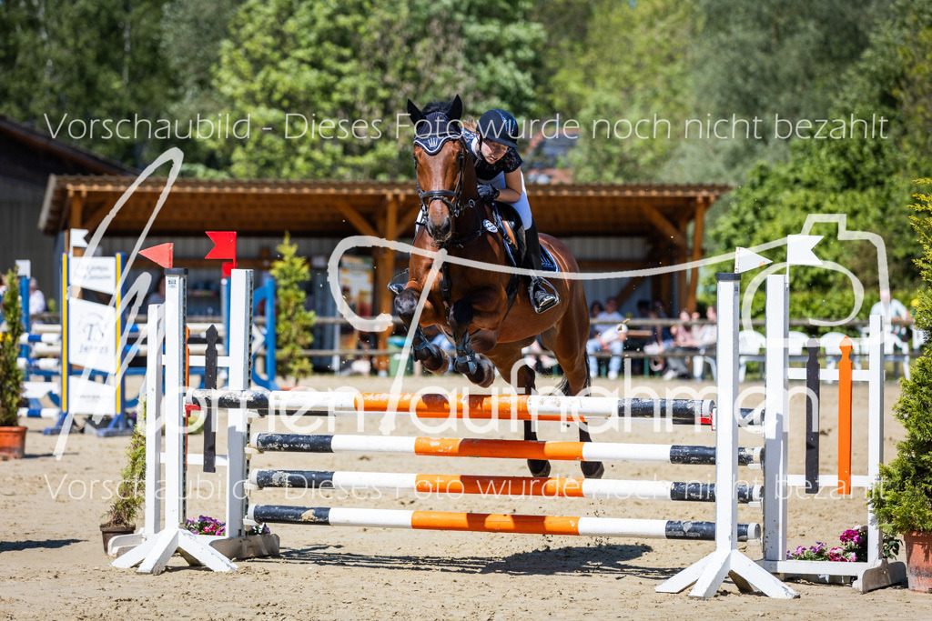 Donop24-ASprmstA-060 | MomenTaufnahmen Pferdesportfotos