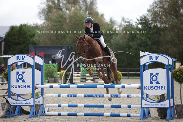 1J2A9713Hannes Ahlmann_ Mizia_ Kn748_ Havekost | Foto- und Videografie für alles rund ums Pferd. Hochwertige Bilder und Videos vom Spring- und Dressurreiten, Voltigieren & mehr. Jetzt aktuelle Veranstaltungen und Preise im Shop ansehen. - Realisiert mit Pictrs.com