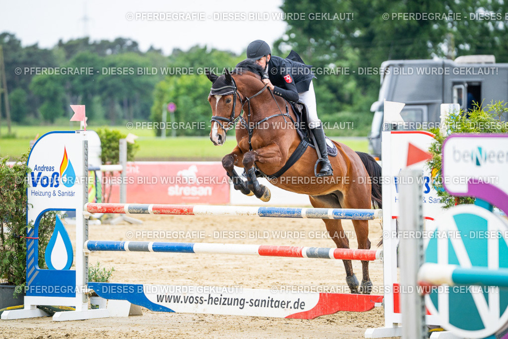 DSC06290 | Pferdegrafie