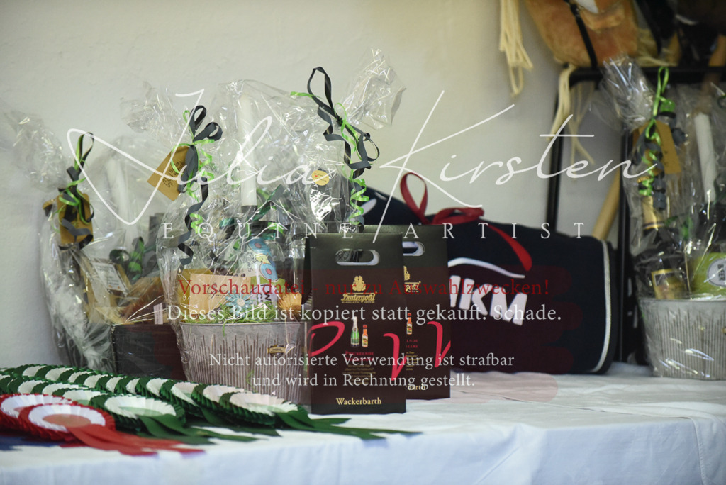 DSC_2343 | Pferde- und Turnierfotografie in Westsachsen. Pferdeportraits, Auftragszeichnungen und intuitive Kunst.