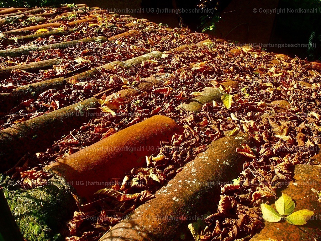 PA272064 | OLYMPUS DIGITAL CAMERA          - Realisiert mit Pictrs.com