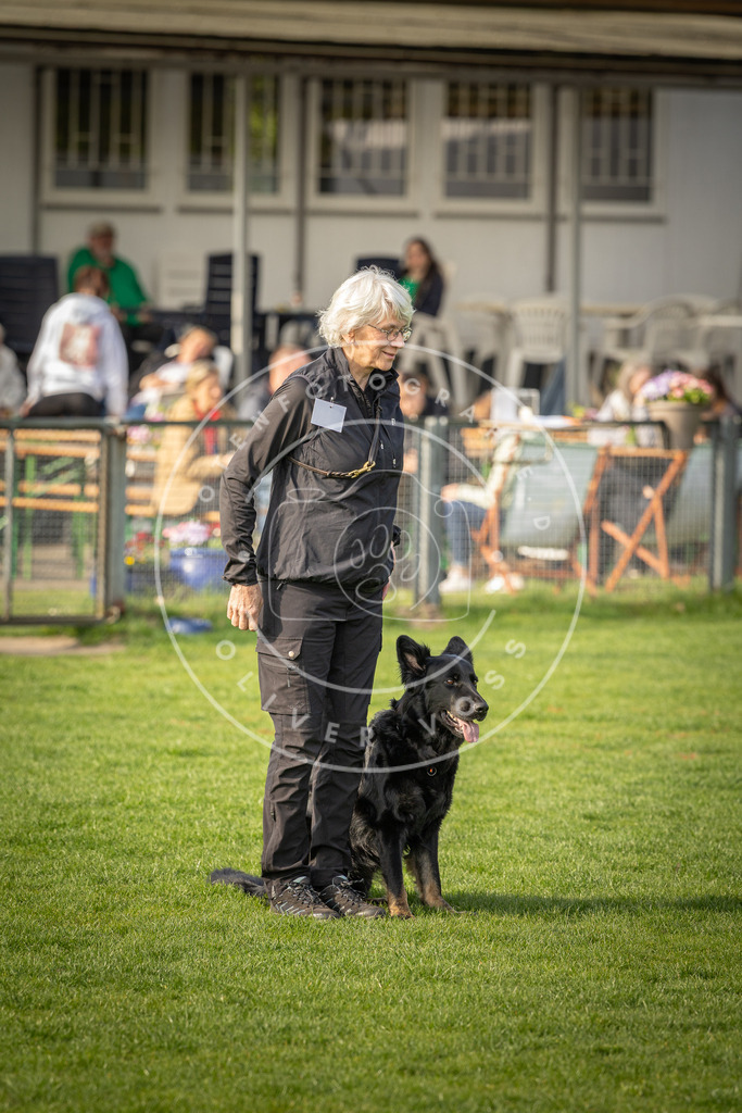 Pfotenfotografie_DV3A4856 | Hundefotografie, Tierfotograf, Pfotenfotografie, Fotoshooting Hund, Hunde Portrait, Hundesport, Hundeportraits, Heideshooting, Hunde, Sportfotograf, Hundefotograf, Turnierhundsport, THS,  - Realisiert mit Pictrs.com