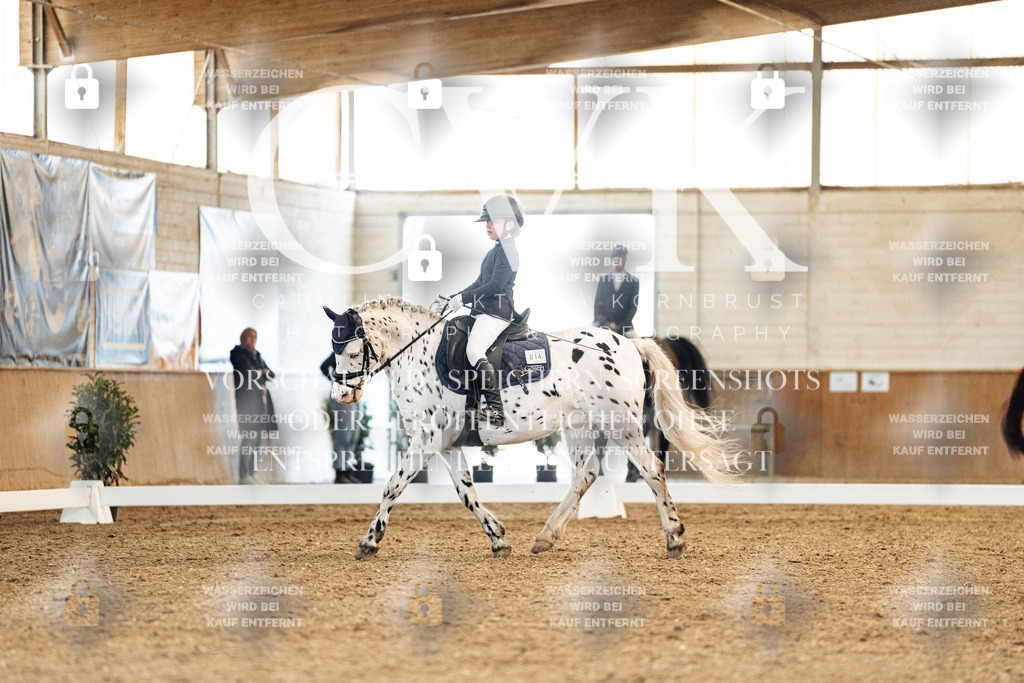 CK908919 | Turnierfotografie Pferdefotografie Trier Rheinland-Pfalz Pferdesport Reitsport Tierfotografie Sportfotografie Pferdevideo Pferdevideografie Equestrianvideography equestrianphotography  - Realisiert mit Pictrs.com