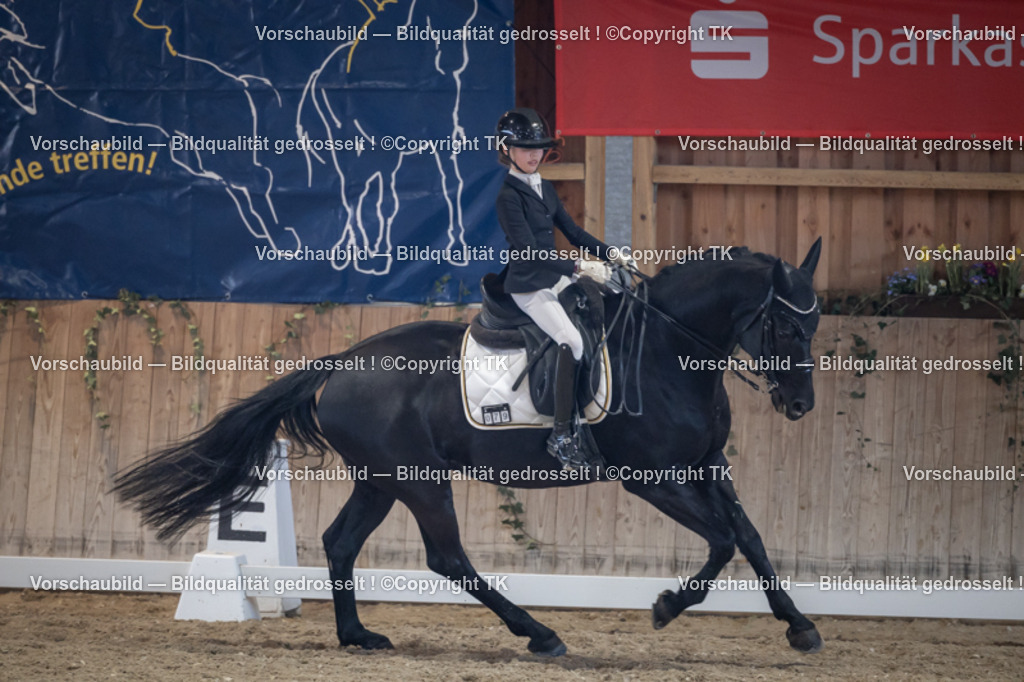 _D5A5089 | Emotionale Pferde- & People-Fotografie rund um Heidelberg, Leimen & Umgebung. Natürliche Fotos von Pferd, Mensch & Familie. Jetzt Termin sichern!