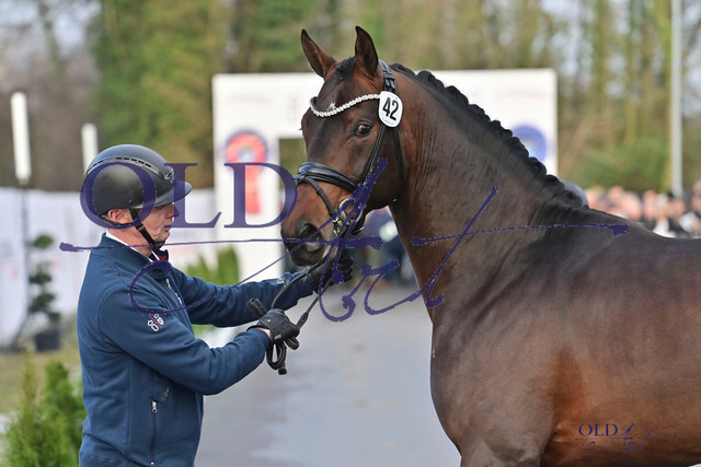 42 DE 431310658221 Bon Vivaldi - De Niro - Weltmeyer DSC_4871 | <meta name="description" content="★Offizieller Merchandise und Foto-/Videostore des Oldenburger Verbandes.★ ✅Jetzt auch digital Ausdrucke erhältlich." />
<meta name="keywords" content="Merchandise Foto-/Videostore Oldenburger Verband Photographie 