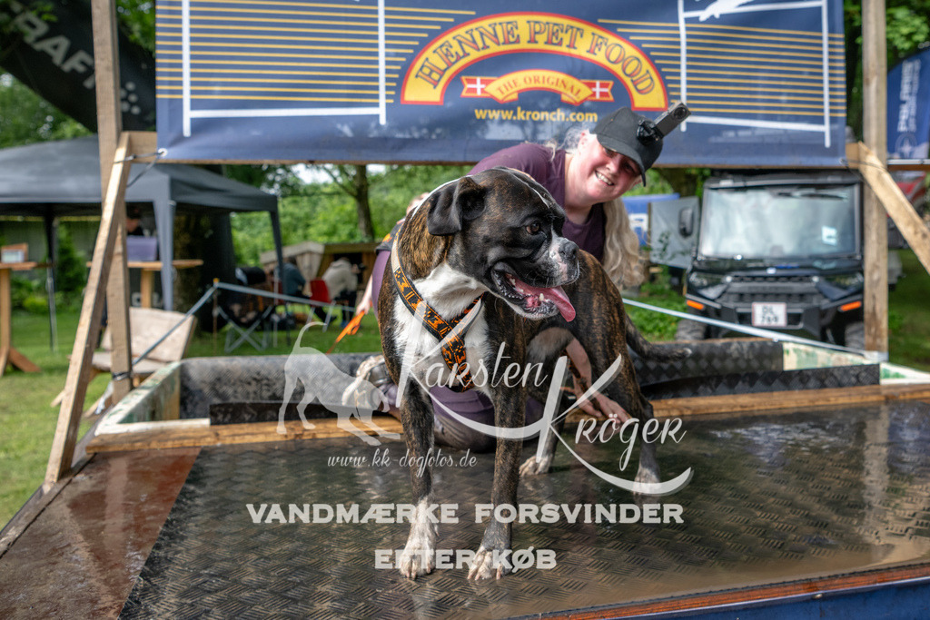 1032_ZZ91212 | kk-dogfotos