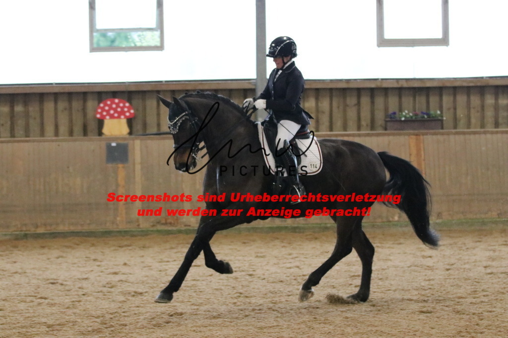 IMG_9050 | lmwpictures - Realisiert mit Pictrs.com