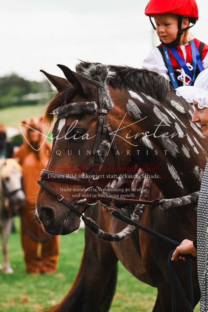 DSC_7686 | Pferde- und Turnierfotografie in Westsachsen. Pferdeportraits, Auftragszeichnungen und intuitive Kunst.