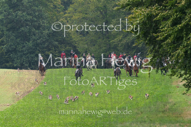 Jagd Perdoel_MarinaHewigMCH03957 | Fotografie, FotoArt, PferdesportArt, Pferdesportfotografie, Landschaftsfotografie, Reisefotografie, Reise, Pferde - Realisiert mit Pictrs.com