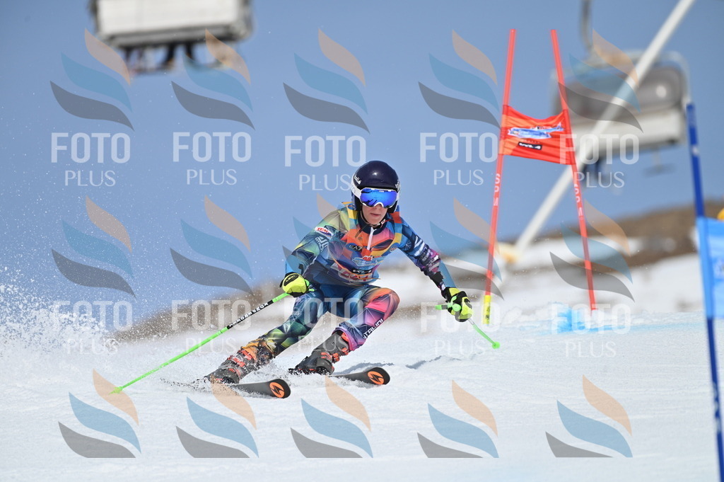 BGV_0983 | holidayphoto