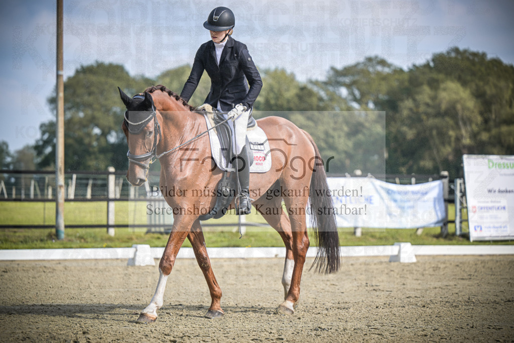 DOS_B677 | Entdecke hochwertige Reitturnierfotos von Foto Oger. Professionell, emotional und authentisch – jetzt Lieblingsmomente im Shop bestellen.Deutschlandweite Turnierfotografie. - Realisiert mit Pictrs.com