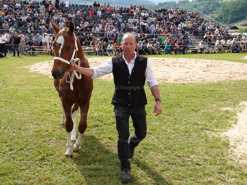 DSC06728 | Schwingen - Realisiert mit Pictrs.com