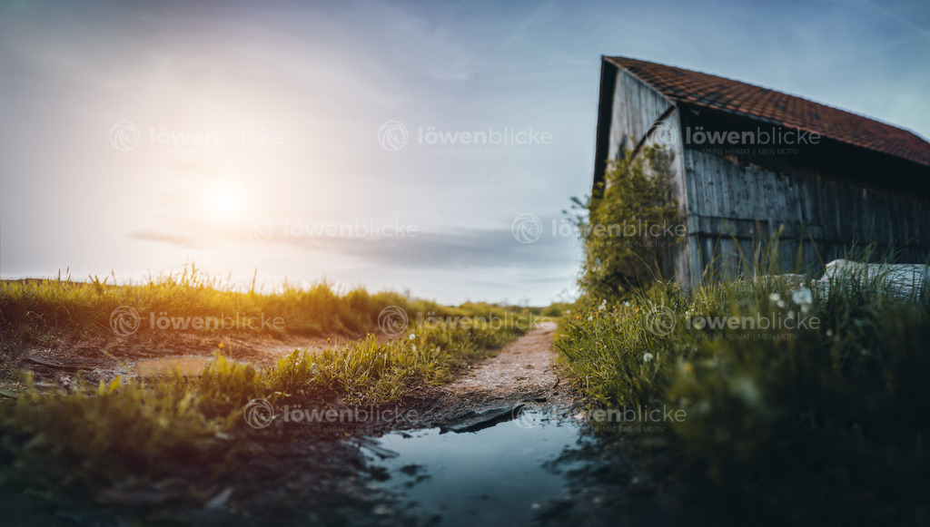 Scheune bei Heiningen | löwenblicke | shop