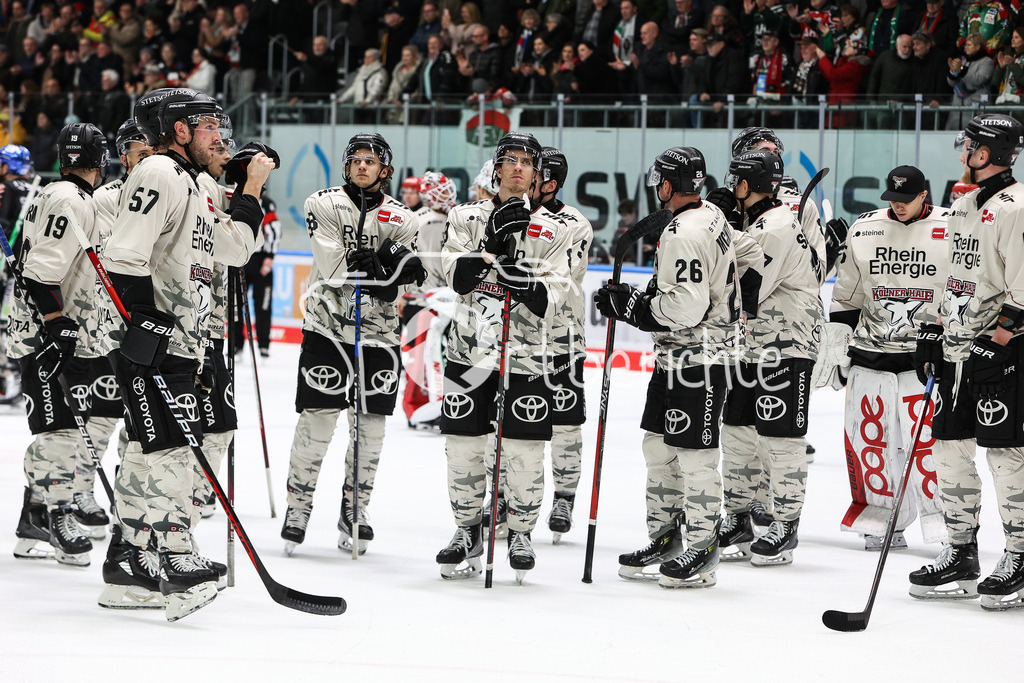 Augsburger Panther - Kölner Haie  | Haengende Koepfe bei den Spielern der Koelner Haie nach der Niederlage in Augsburg