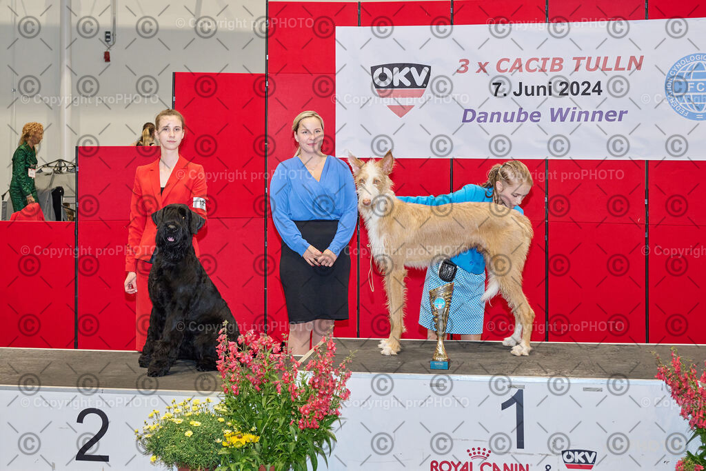 202406_ÖKV-IHA-Tulln24_NZ9_7760 | proPHOTO - Realisiert mit Pictrs.com