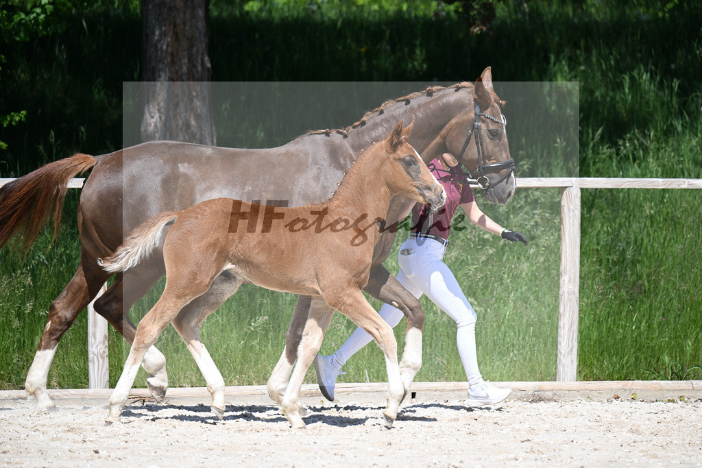 Don Schufro x Don Massimo_HF_Aumer_10250144 | hf-fotografie - Realizzato con Pictrs.com