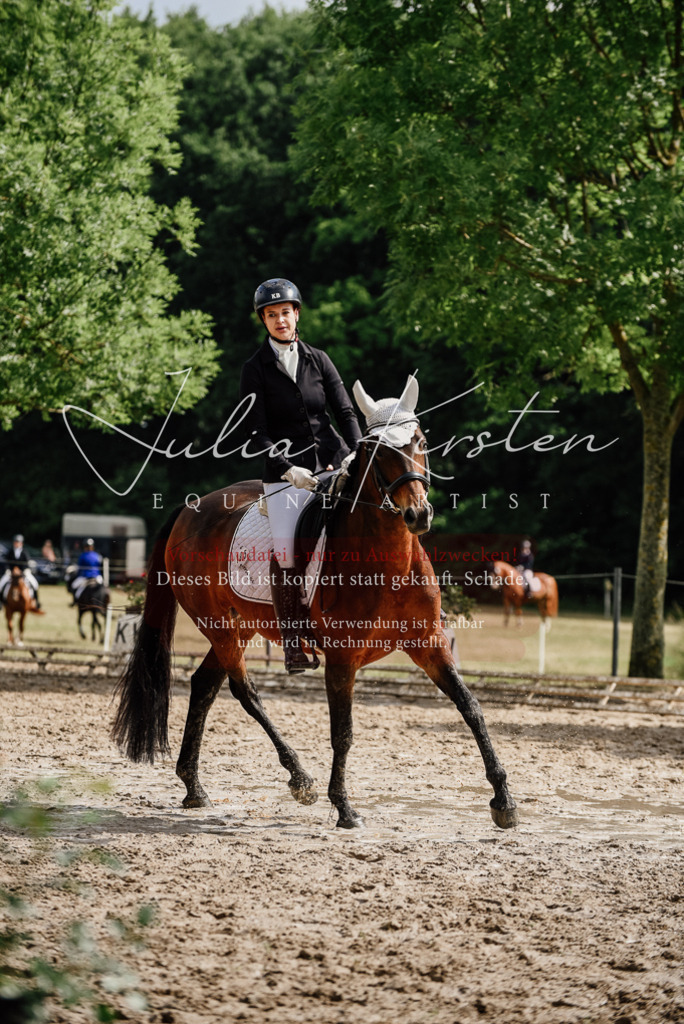 DSC_9831 | Pferde- und Turnierfotografie in Westsachsen. Pferdeportraits, Auftragszeichnungen und intuitive Kunst.