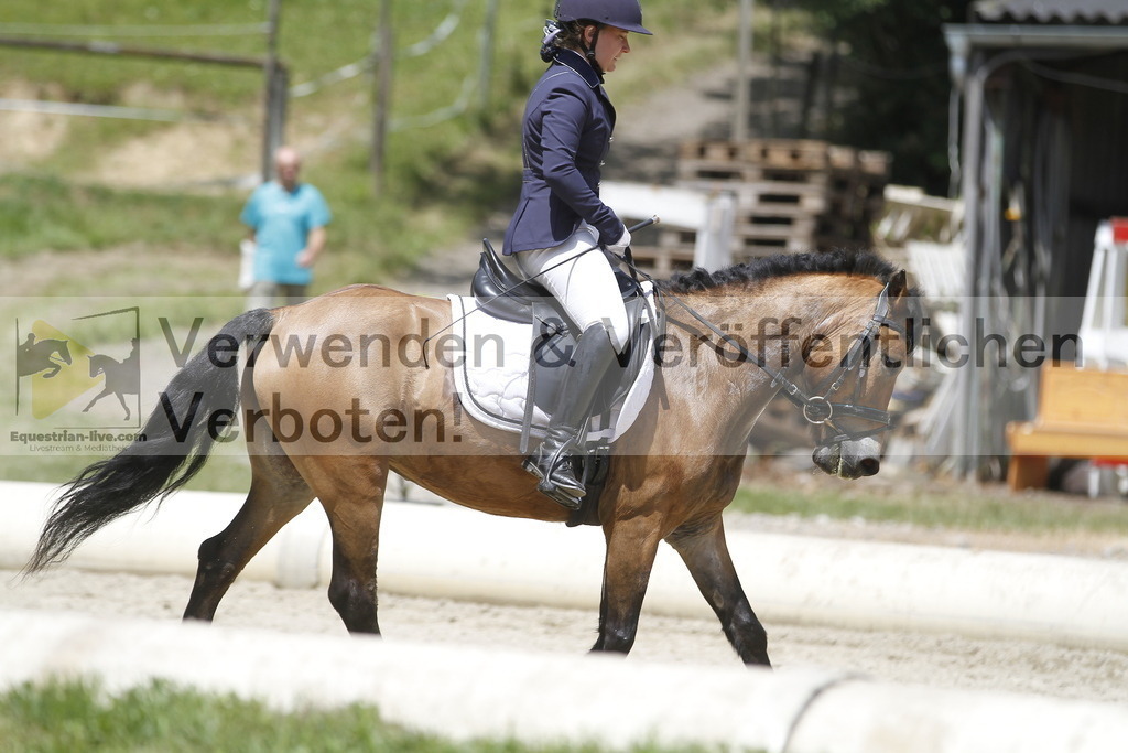 _MG_1034 | equestrian-live-com