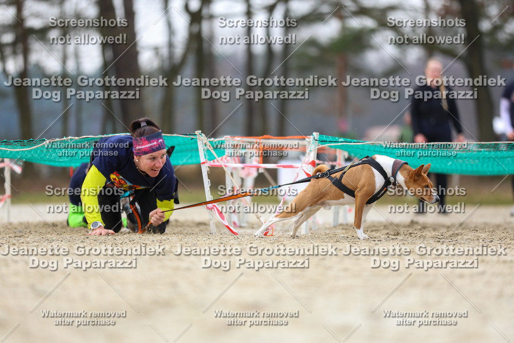 Dog Paparazzi - Strongdog North Mrz26-4617 | Dog Paparazzi Jeanette Grottendiek Fotografie & Videografie - Realisiert mit Pictrs.com