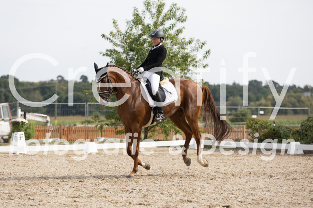 IMG_4215 | Creatify Fotografie