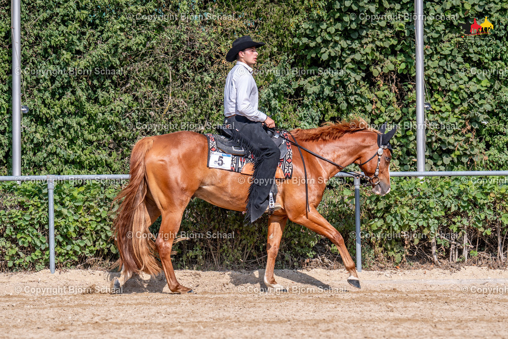 LMS07328 | BS-foto