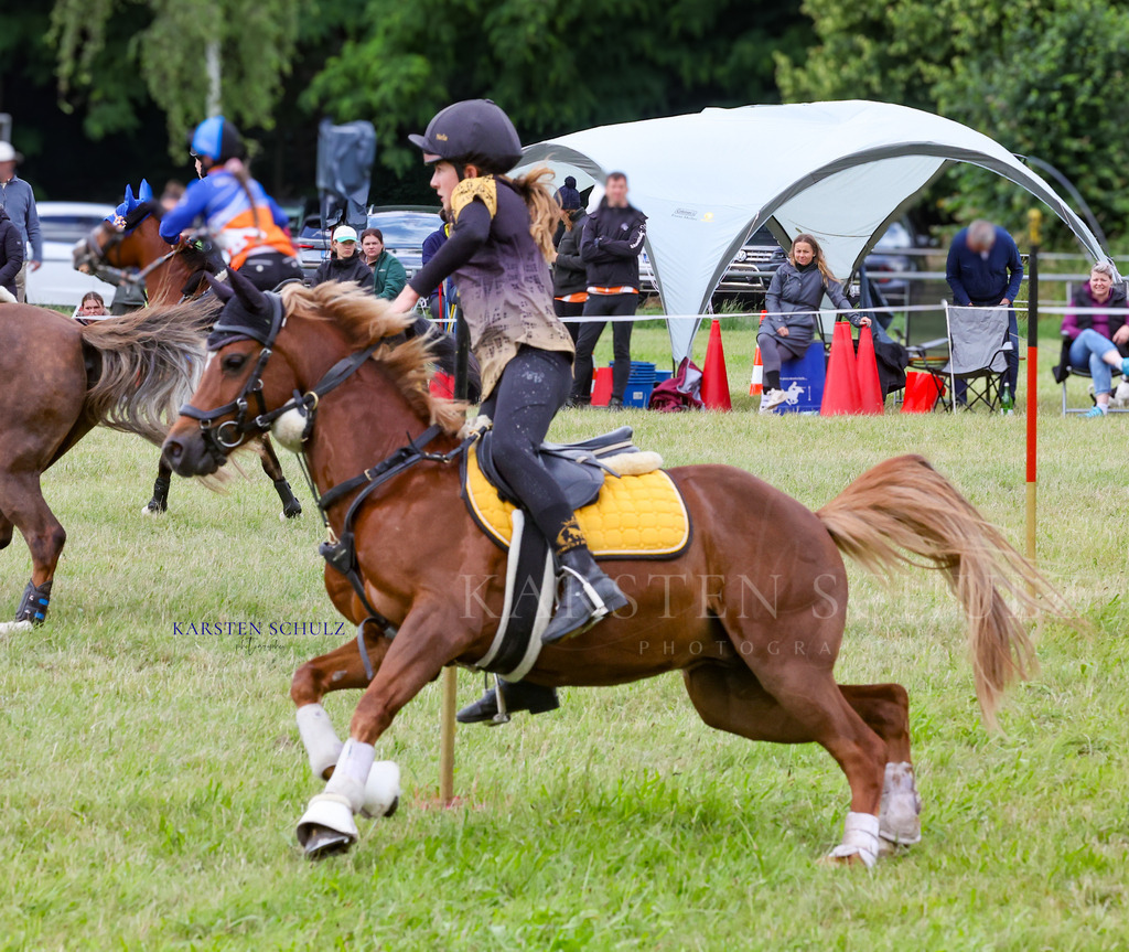1B3A1027 | Reitsport Reiten