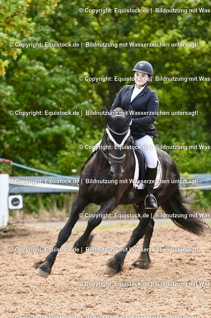 20230716_04_Dressurreiterprüfung Kl.A_0382 | equistock