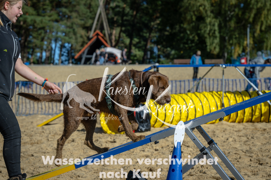 1143_ZZ91852-2 | kk-dogfotos