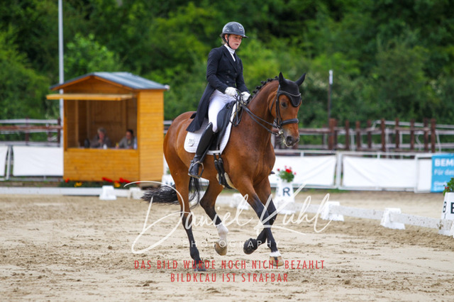 DKP47982 | Turniersportfotografie; Pferdefotografie; Dressurfotografie