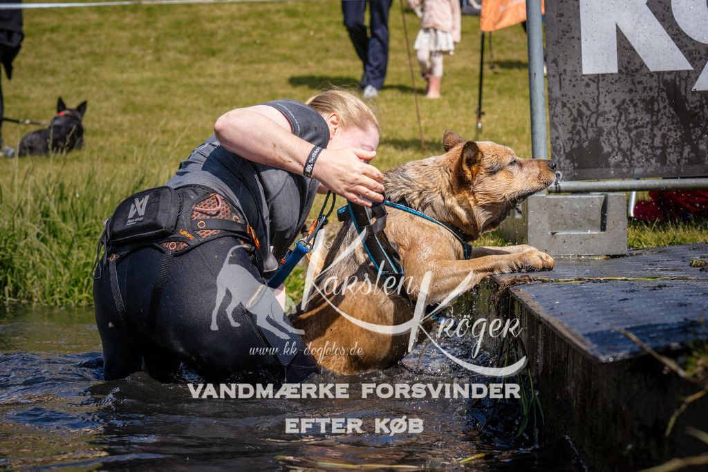 _ZZ967561020 | kk-dogfotos