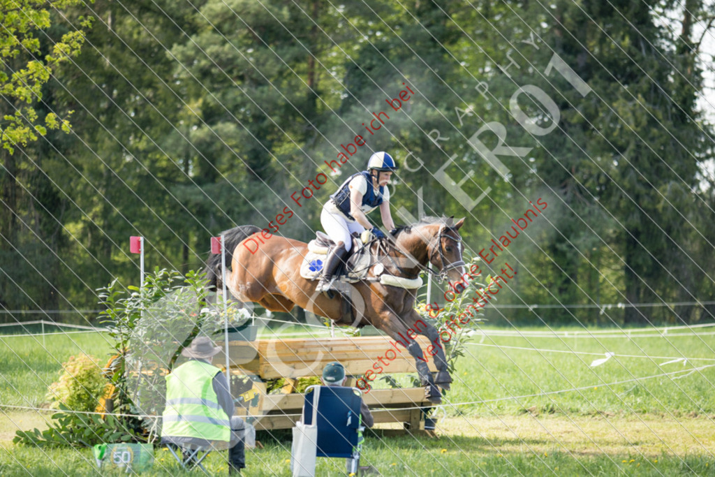 IMG_7109 | Hier findest Du viele Augenblicke aus den Bereichen der Turnier-, Sport- & Tierfotografie. Bilder mit deinem Liebling, Portrait-, Bewerbungs-, Businessbilder können ebenfalls schnell und einfach erstellt werden.