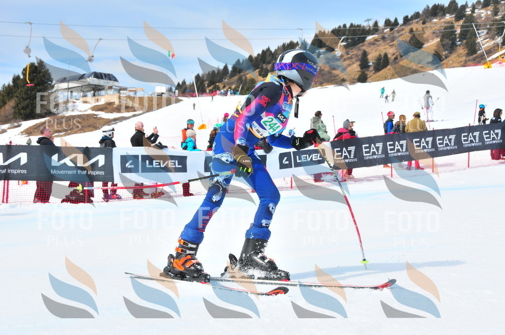 DSC_2267 | holidayphoto