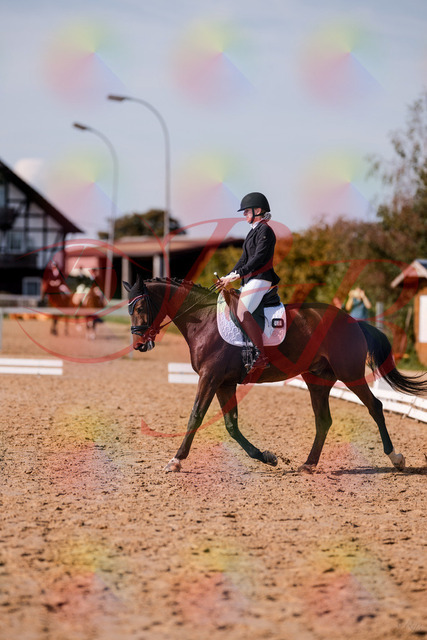 2026_10_03_Siefer-Hof_125826_Z81_48466987 | Professionelle Reitsport-, Turnier- und Eventfotografie von Robert Broda. Galerien mit ausgewählten und bearbeiteten Bildern direkt online ansehen und bestellen.