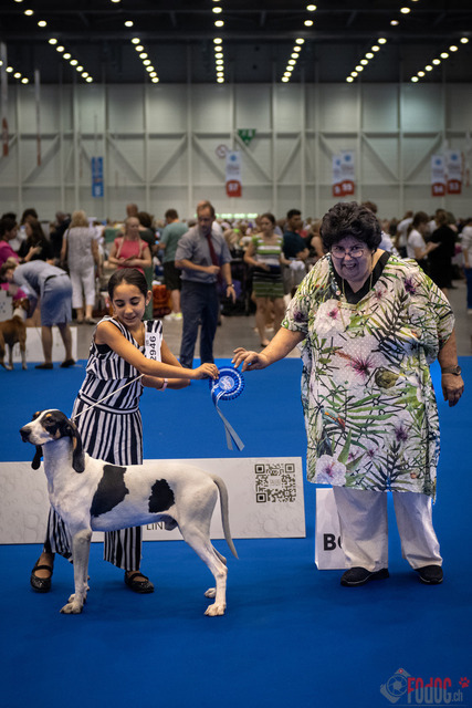 World Dog Show | World Dog Show 2023 im Palexpo in Genf 23.08.2023 Foto: Leo Wyden