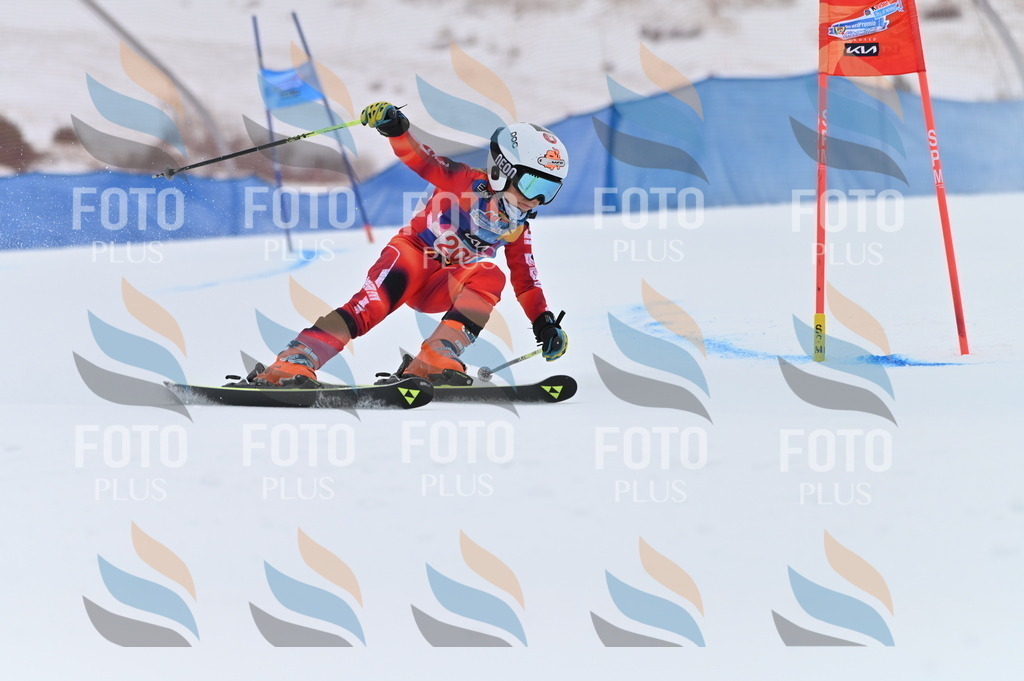 BGV_2036 | holidayphoto