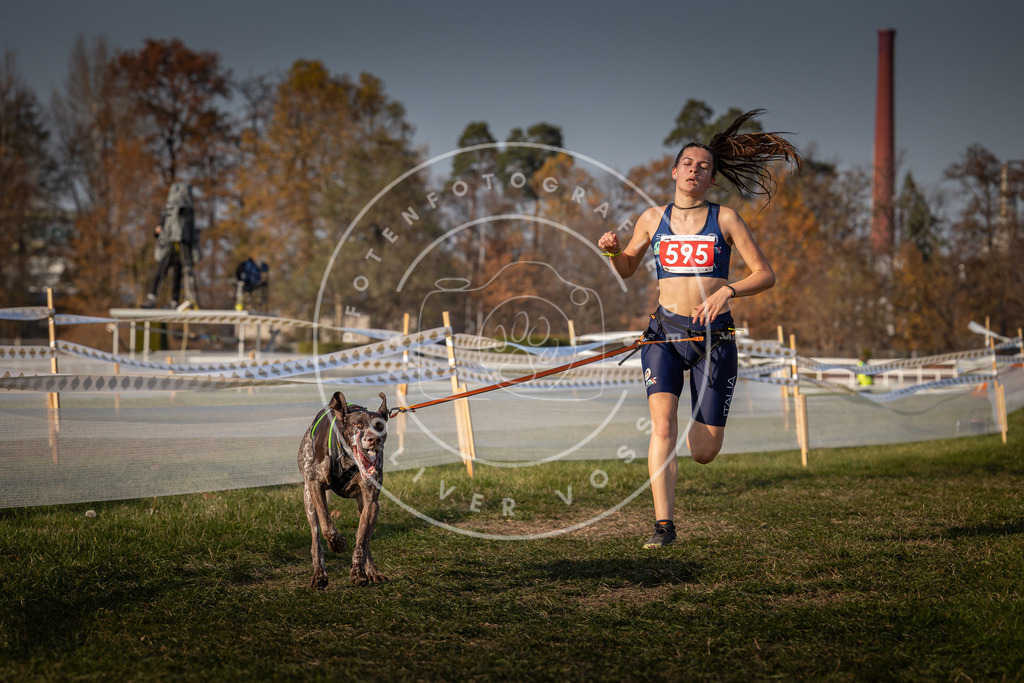 CaniXpix_0L8A9855 | Hundefotografie, Tierfotograf, Pfotenfotografie, Fotoshooting Hund, Hunde Portrait, Hundesport, Hundeportraits, Heideshooting, Hunde, Sportfotograf, Hundefotograf, Turnierhundsport, THS,  - Realisiert mit Pictrs.com