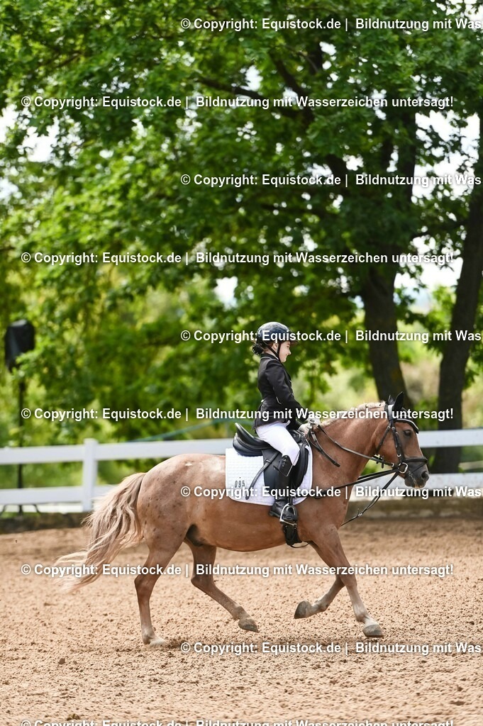 20230716_10-3_Reiter-WB Schritt - Trab - Galopp_0171 | equistock