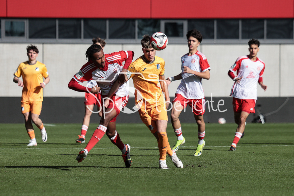 FC Bayern München U19 - TSG 1899 Hoffenheim U19 | Jonah KUSI-ASARE (FCB #9) im Duell mit Luca ERLEIN (TSG #4) / Zweikampf
